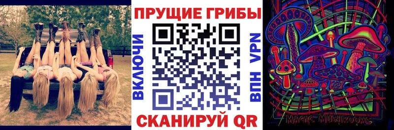 цены наркотик МЕГА ТОР Псилоцибиновые грибы GOLDEN TEACHER Чебоксары
