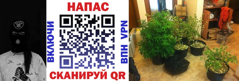 shop официальный сайт Чебоксары Бошки Шишки Amnesia наркота
